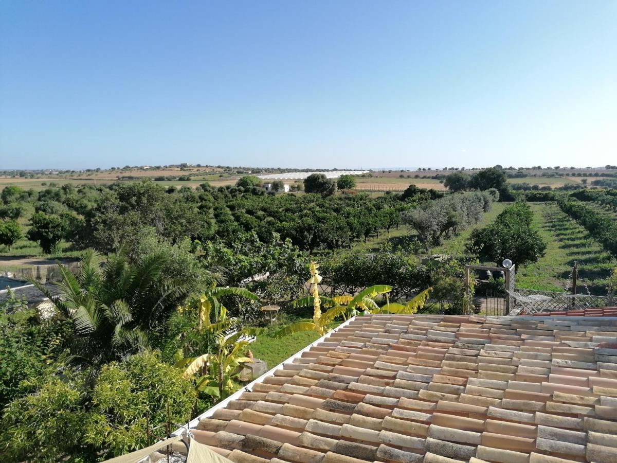הוילה גראנלי La Pomelia מראה חיצוני תמונה