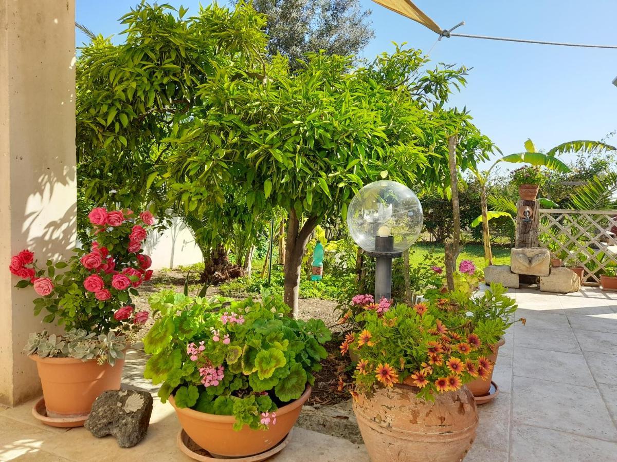 הוילה גראנלי La Pomelia מראה חיצוני תמונה